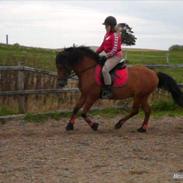 Anden særlig race Gori  *gl.part:'(*