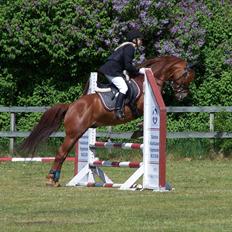 Anden særlig race Lundgaards Chivas 