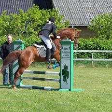 Anden særlig race Lundgaards Chivas 