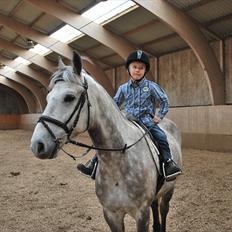 Anden særlig race Charlie
