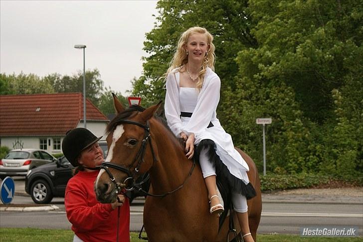 Anden særlig race Chanel - #9 konfi billed<3 billede 9