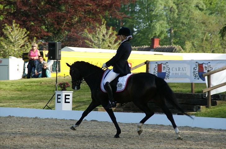 Tysk Sportspony Kirz Kaninpil Kærlund - Kaninpil til landsstævne på Broholm med sin nye ejer Mille, hvor de klarede sig rigtig flot :-) billede 19