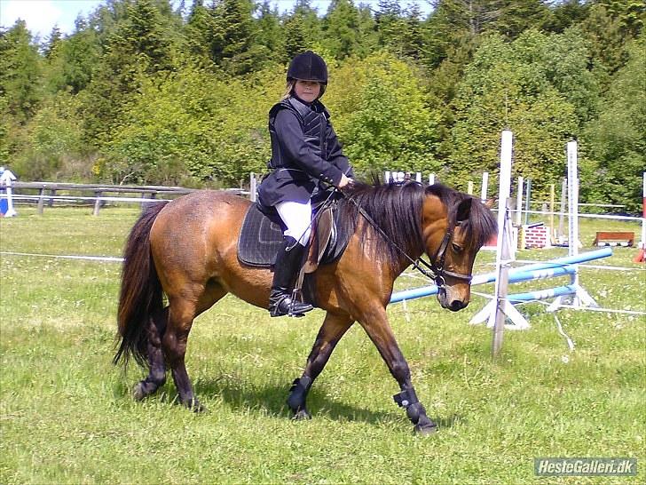 Anden særlig race Passo<3 i; - passo du var mit et og alt, og du vil altid have et plads i mit hjerte. men du er du SOLGT :-/ billede 12