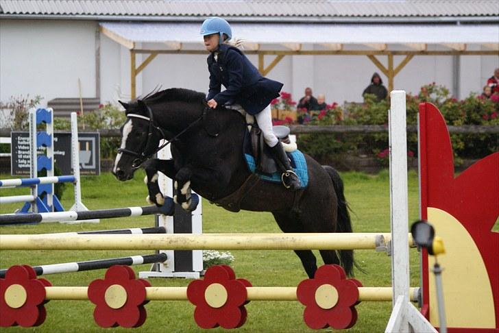 DSP Bæklunds Capone - Naja og Capone vinder B-finalen i LB** på kallehavegård :-) billede 19