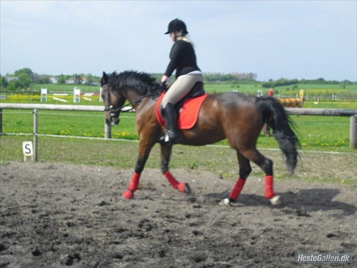 Anden særlig race Rea - Træning i Maj. Syndes hun gør fremskrift . billede 5