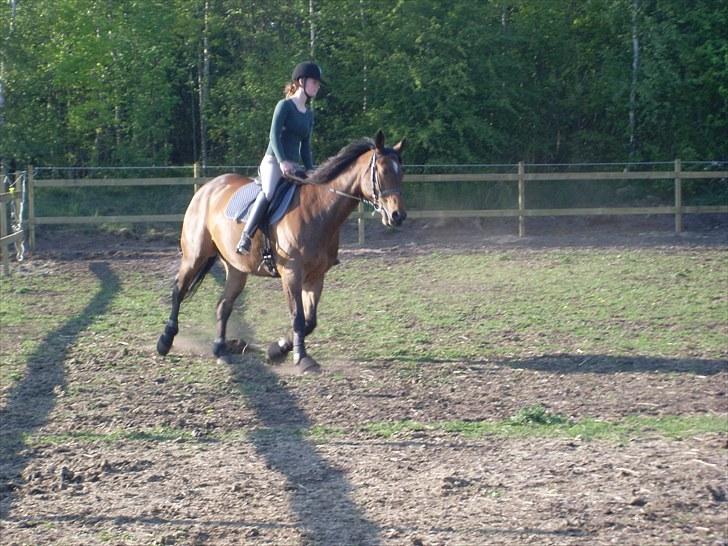 Oldenborg Sako billede 16