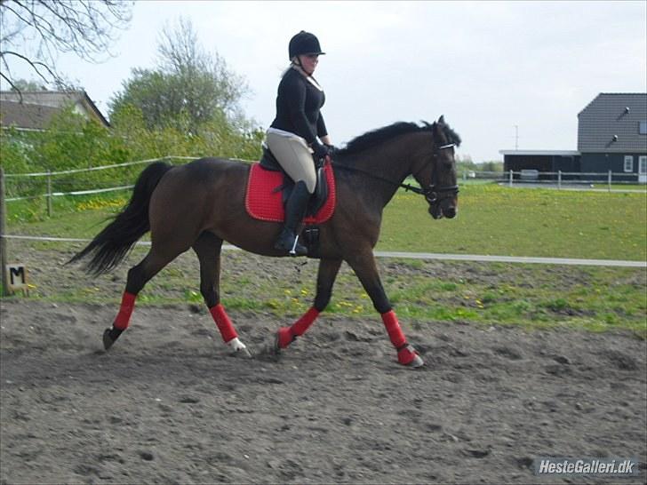 Anden særlig race Rea - Træning i maj. billede 6