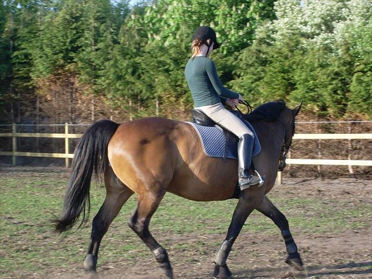 Oldenborg Sako billede 17