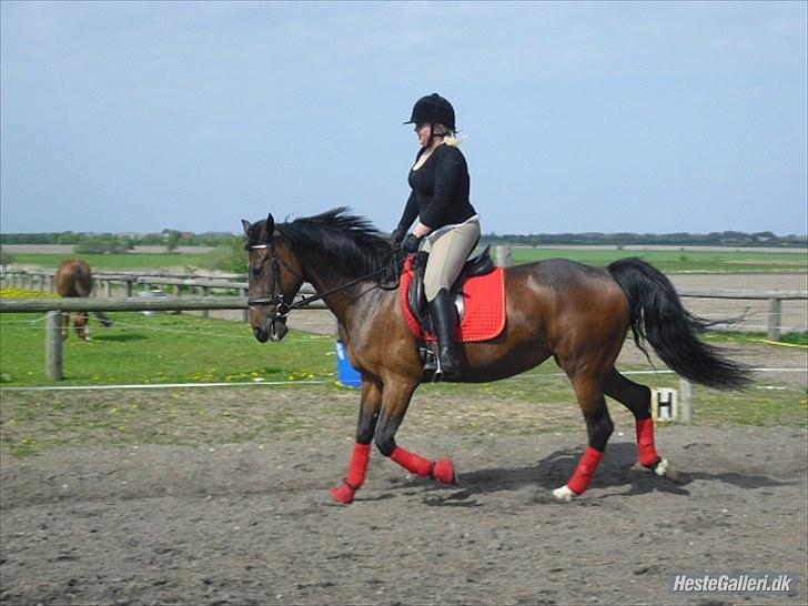 Anden særlig race Rea billede 7