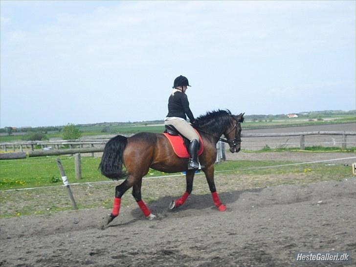 Anden særlig race Rea billede 8