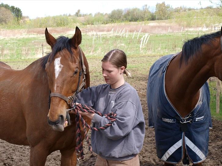 Fuldblod (XX) Little Wing - 19# Lille og jeg på folden en dag i april ... (Foto; Far) billede 19
