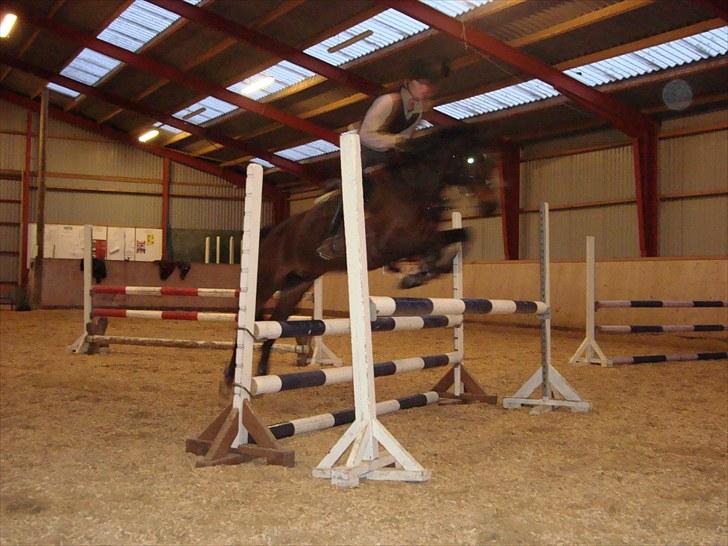 Anden særlig race ringo billede 12