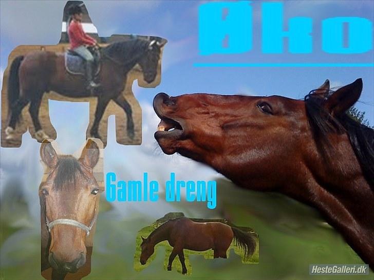 Anden særlig race Øko. billede 1