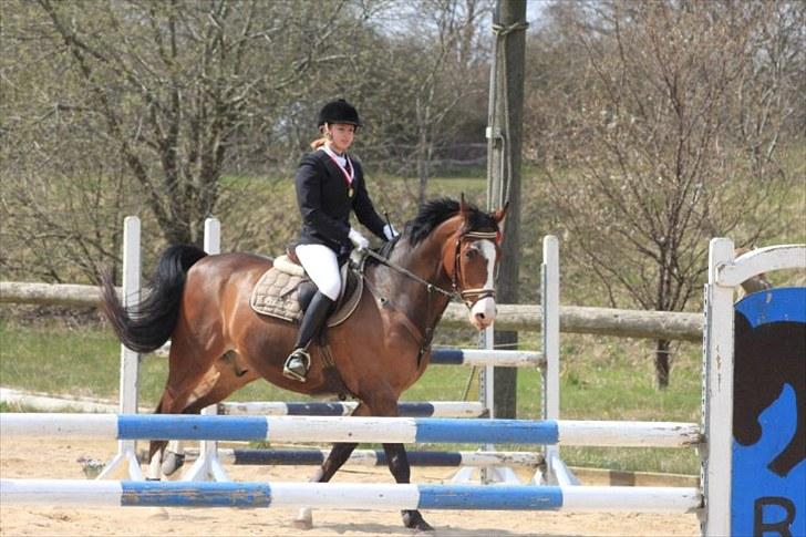 Dansk Varmblod Prestige RIP min smuksak, du er Savnet <3 - LC spring malling rideklub maj 2010 billede 12