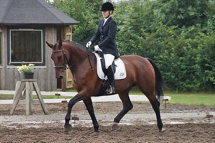 Oldenborg Fleur (Olga) - chamionat med Olle 2010 aalestrup :D billede 15