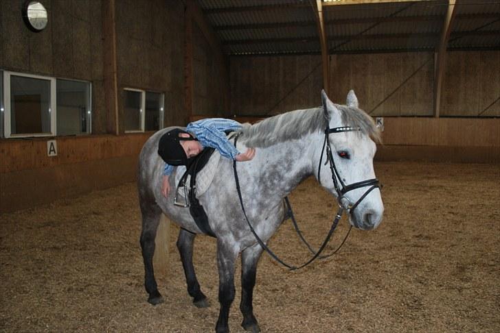 Anden særlig race Charlie - Hovsa - drengene tager lige en slapper ... Zzzz billede 3