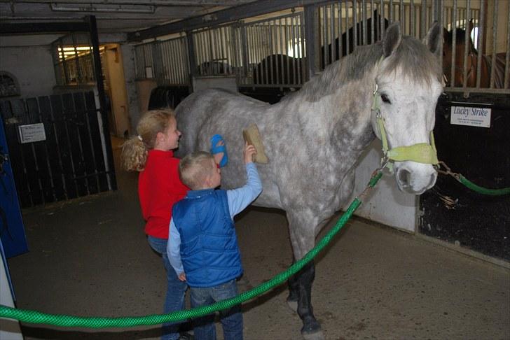 Anden særlig race Charlie - Dette billed er fra før vi købte Charlie. Vi fik lov at passe ham en dag for Louise(tidligere ejer). Det nød vi alle som I kan se på billedet :) billede 4