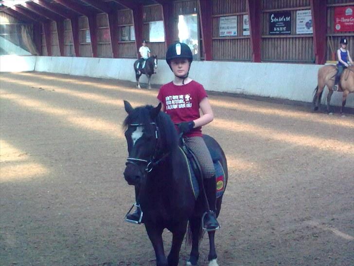 Anden særlig race Asterix;) - parade:) billede 12