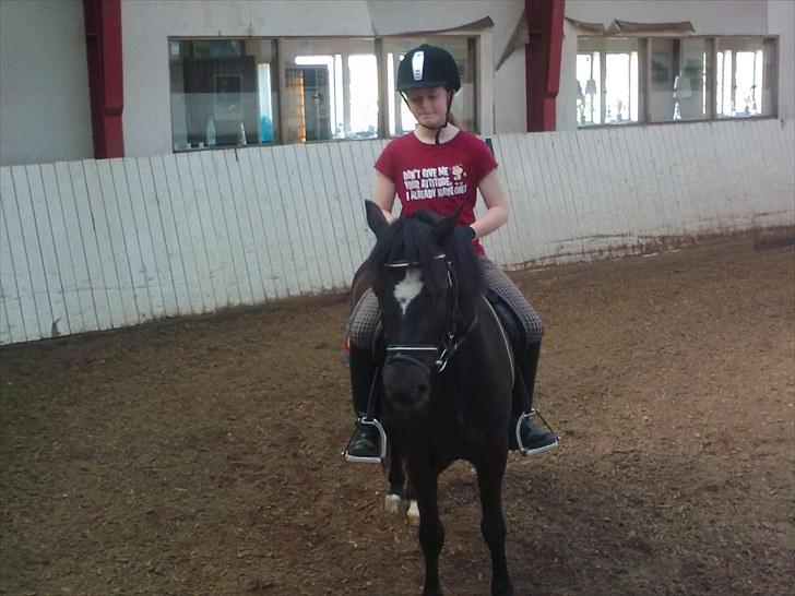 Anden særlig race Asterix;) - Asterix igen;P billede 13