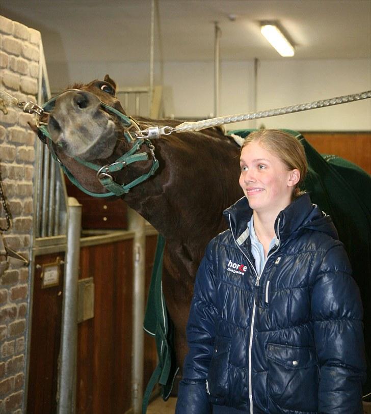 Dansk Varmblod Zorina Z guldmedalje hopp - Ingen komentarer tak:) billede 18