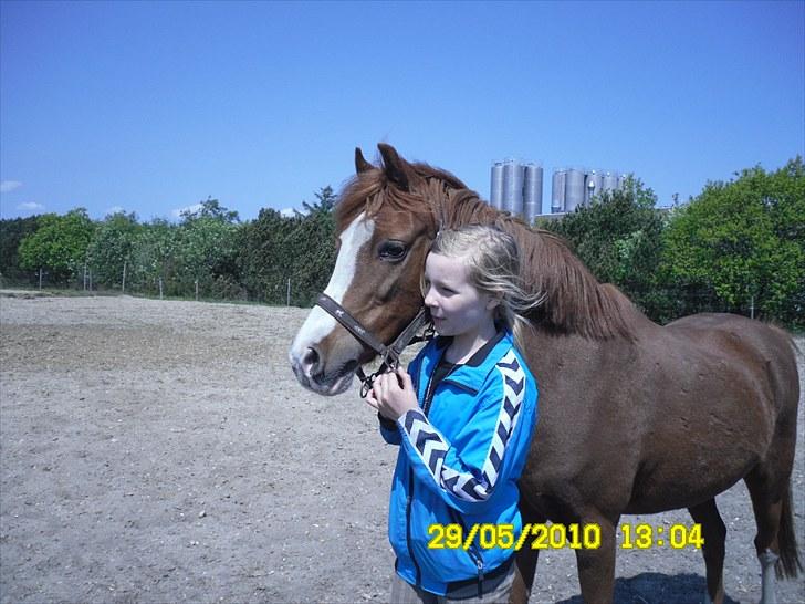 Anden særlig race Stella  - Mig og Stella<3 billede 1