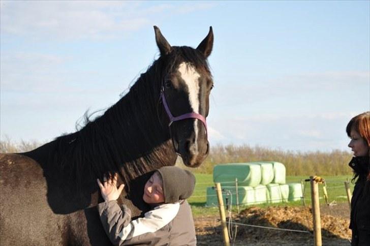 Anden særlig race Silke - 2010 maj billede 14