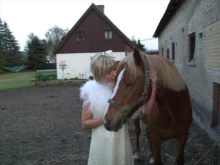 New Forest Malthe - Nede at mysse på min skønne Malle efter min konfirmation  :-)  <3 26-04-2009 billede 12