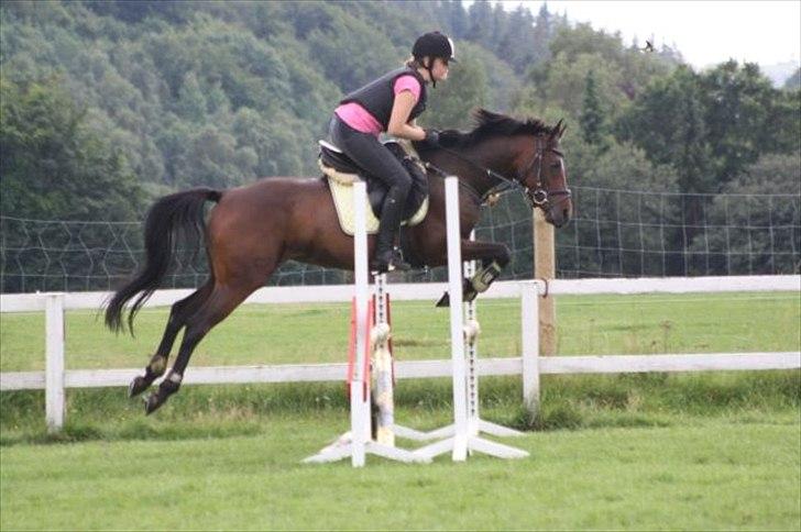 Fuldblod (XX) Zorajah - Velkommen til Zorajah´s profil<3 giv en beømmelse og skriv en kommentar<3 TAK billede 1