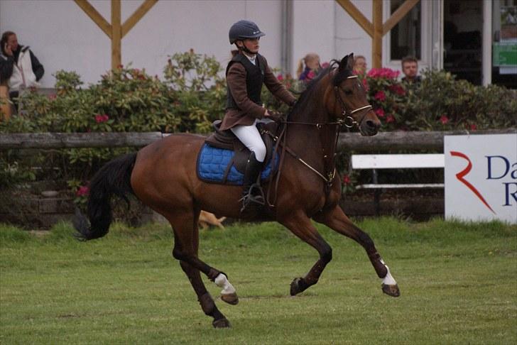 Tysk Sportspony Conchitta<3 - Mig og Conse til L/M Championat i spring, som vi VANDT!!!<3 Foto: Tia Lundemose billede 7