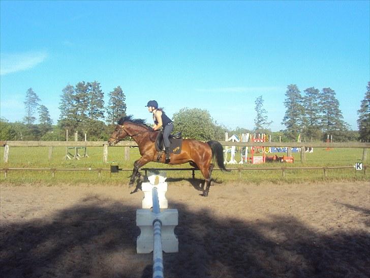 Anden særlig race Showtime PÅ PENSION. - spring ;D foto: Nadja Eskesen ;D<3 billede 19