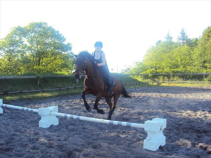 Anden særlig race Showtime PÅ PENSION. - spring ;D foto: Nadja Eskesen ;D<3 billede 20