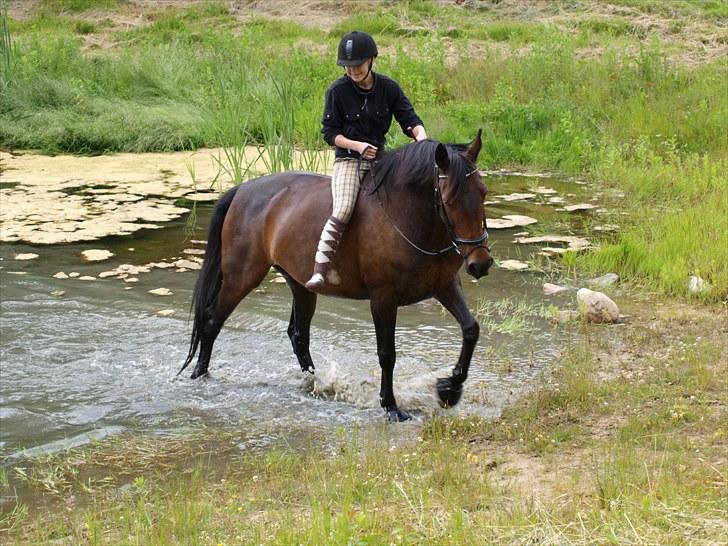 Oldenborg Visborggaards Starleth - I søen :D
 billede 14