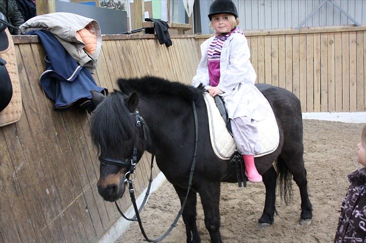 Shetlænder whisky billede 8