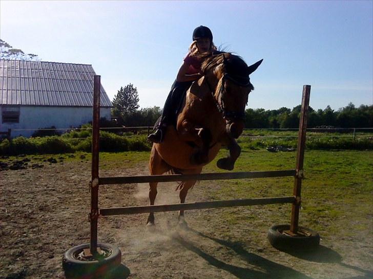 Anden særlig race Topsy SOLGT - 2010  billede 1