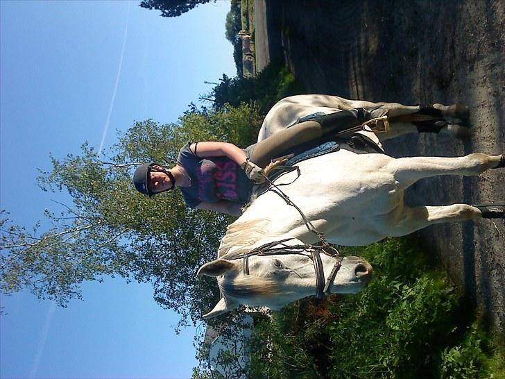 Anden særlig race May Day - mig og Manse billede 4