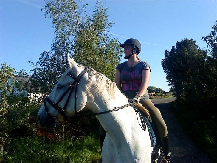 Anden særlig race May Day - mig og Manse billede 5