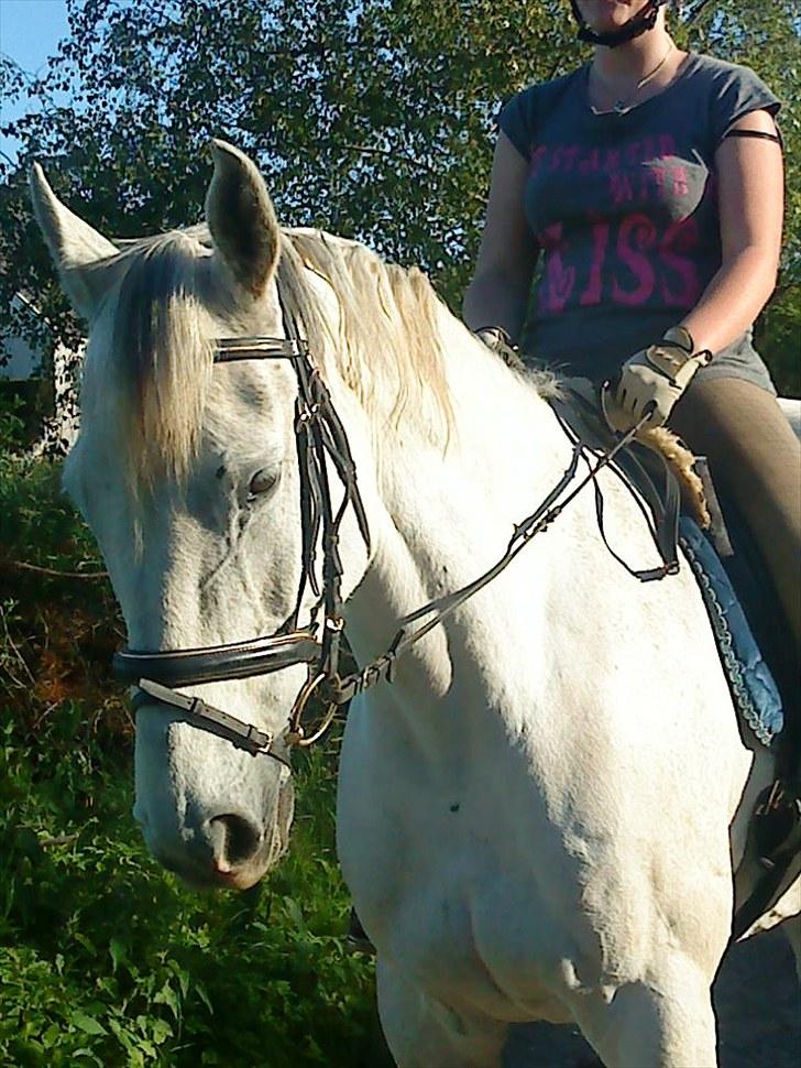 Anden særlig race May Day - mig og Manse billede 6