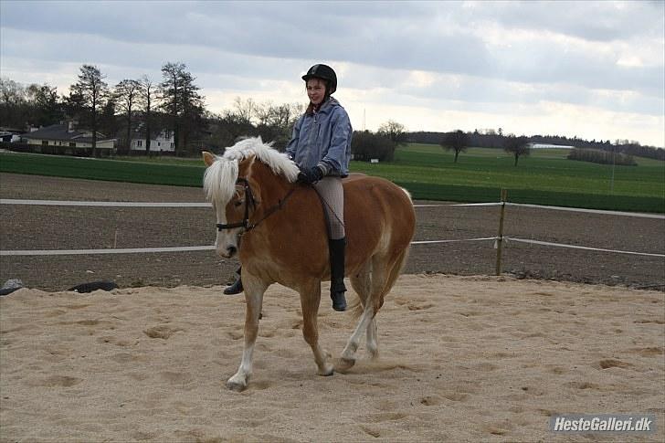 Anden særlig race amanda solgt billede 2
