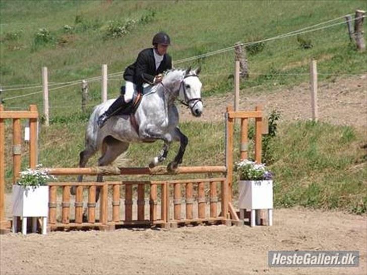 Anden særlig race May Day - Tidligere ejer billede 8