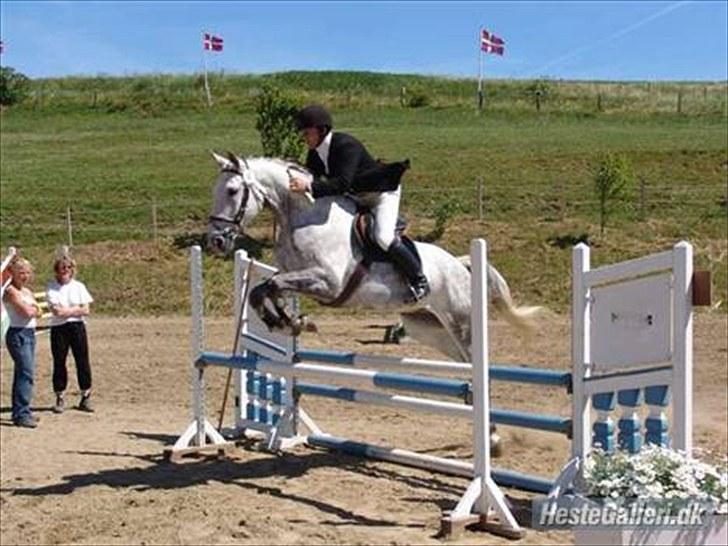 Anden særlig race May Day - Tidligere ejer billede 9