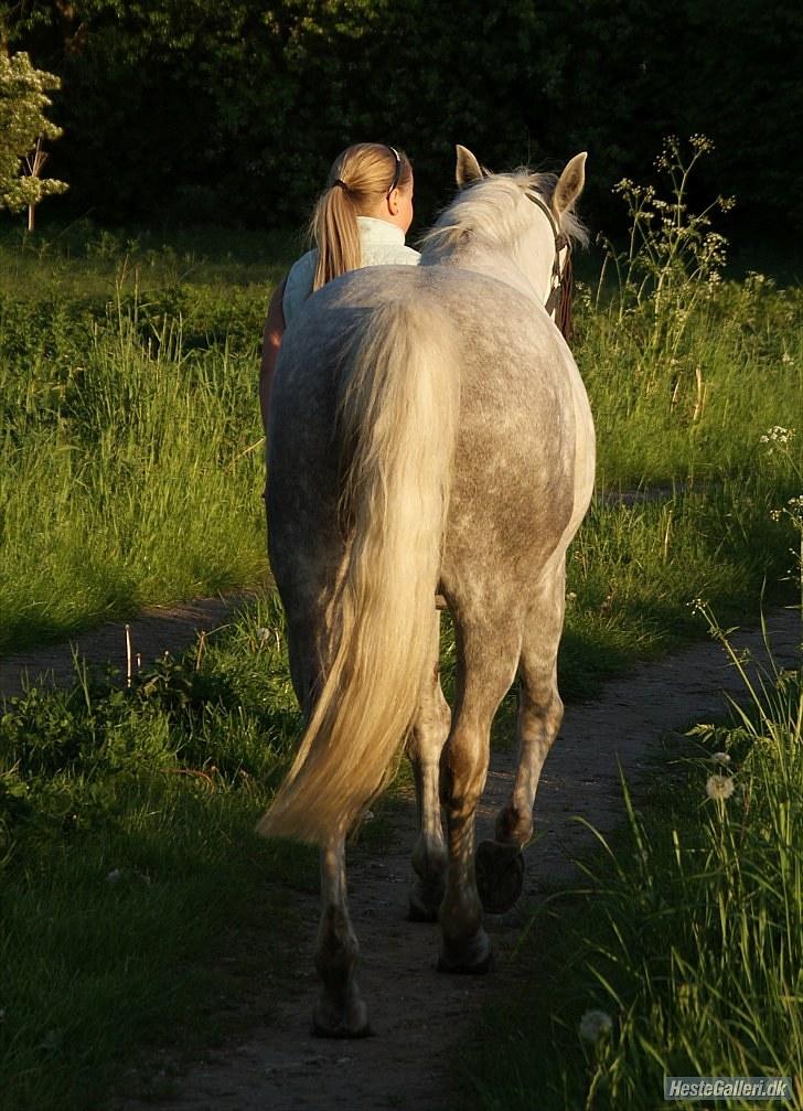 Anden særlig race Cédric Vasseur *SOLGT* - Fotograf: Sandra billede 17