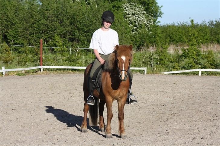 Islænder Fjölvi  billede 8