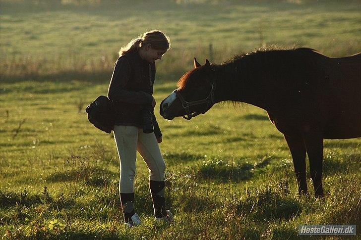 Anden særlig race Lucky Boy † miss you † - 20) Aftenhygge på folden! :D | Foto: KT-FOTO | billede 20