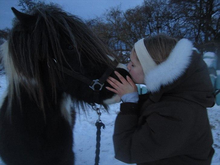 Tinker Tinker - Tarquin [Mors] - Mysser til charmetrolden efter en god tillids-træning :* <3 billede 15