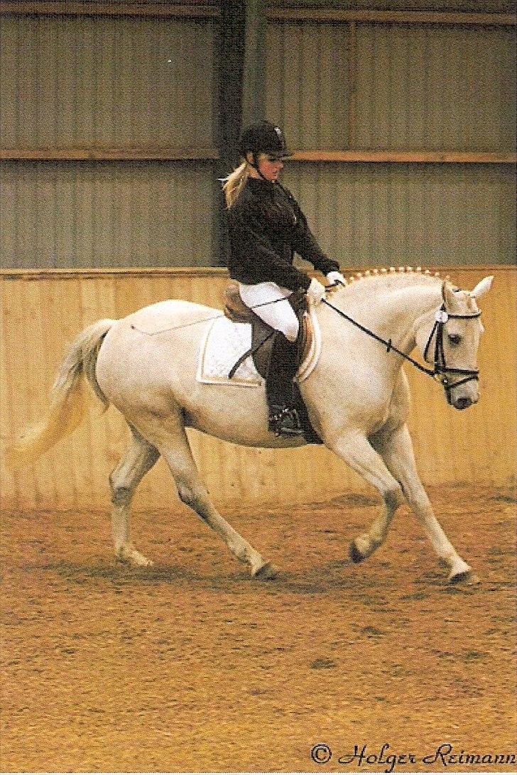 Connemara Elita Nordskov - Kvalitetsbedømmelse i Connemaraforeningen, 2010.. Undskyld kvalitet - det er scannet fra papirsbillede :-D billede 11