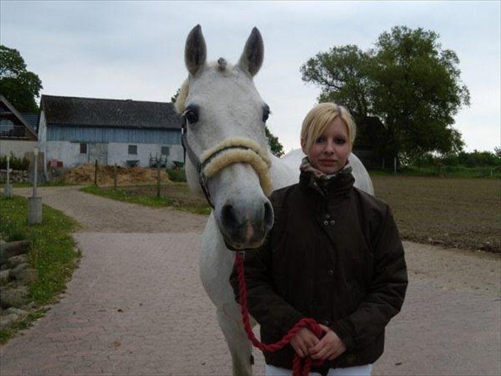 Connemara Elita Nordskov billede 13