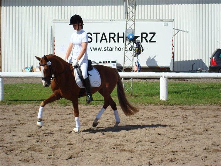 Anden særlig race Nørregårdens My Lady  - Super ponyen til sit første stævne. Hun tog det bare så pænt :D Opvarmning^^ billede 4