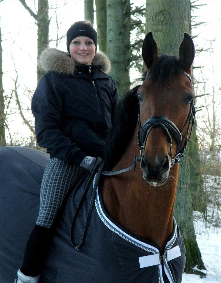 Zangersheide Galaxie Alfarvad Z R.I.P - Mig og Laks i skoven :-) dec 2010 billede 16