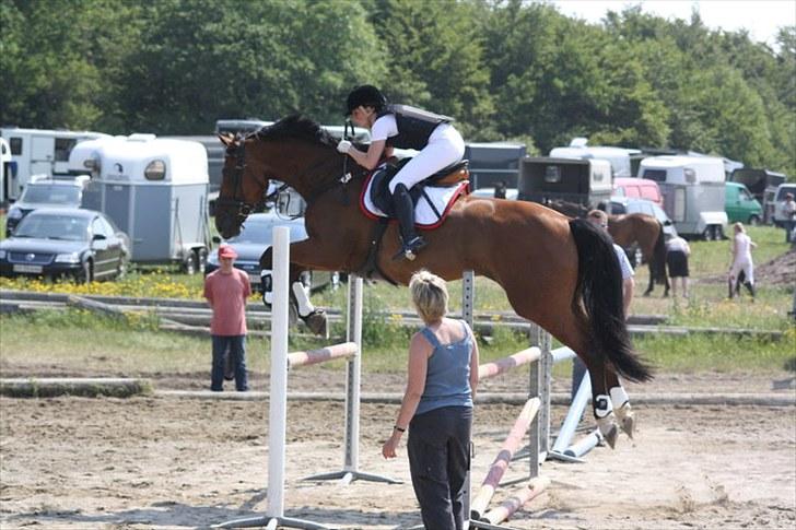 Zangersheide Galaxie Alfarvad Z R.I.P - Opvarmning i KONG 3/7-10 Foto: Julia Lorentzen billede 17
