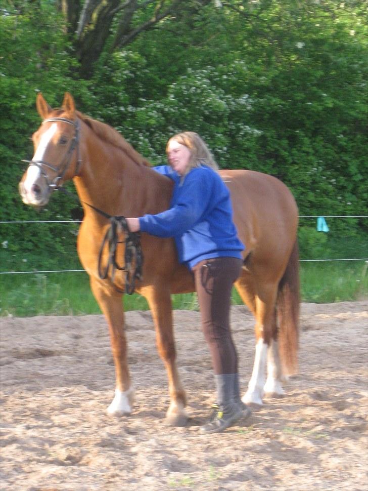 Frederiksborg Lykkeborgs Calista  billede 15